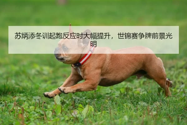 su-bing-tian-dong-xun-qi-pao-fan-ying-shi-da-fu-ti-sheng-shi-jin-sai-zheng-pai-qian-jing-guang-ming-2-546.jpg