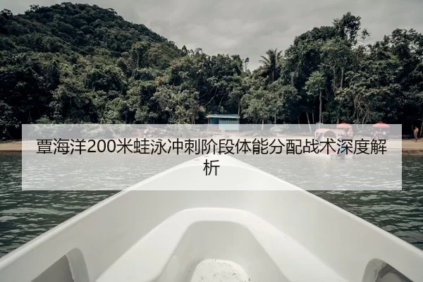 tan-hai-yang-mi-wa-yong-chong-ci-jie-duan-ti-neng-fen-pei-zhan-shu-shen-du-jie-xi-2-224.jpg