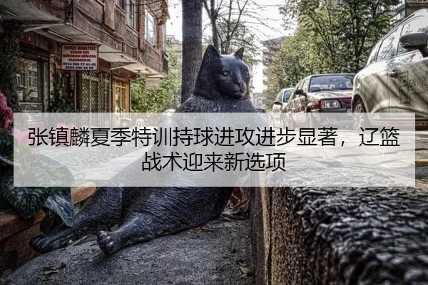 张镇麟夏季特训持球进攻进步显著，辽篮战术迎来新选项
