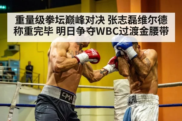 重量级拳坛巅峰对决 张志磊维尔德称重完毕 明日争夺WBC过渡金腰带