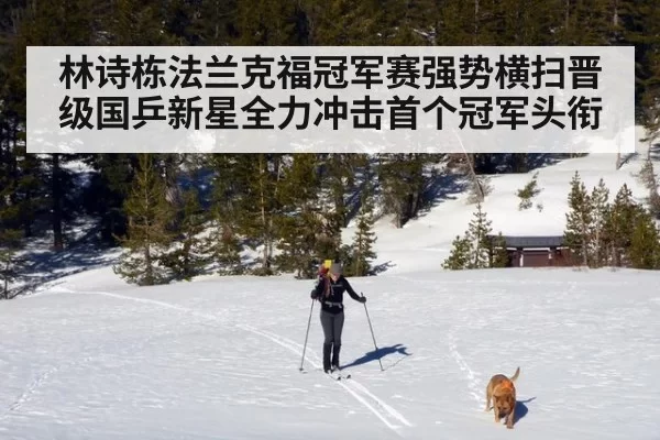 林诗栋法兰克福冠军赛强势横扫晋级国乒新星全力冲击首个冠军头衔